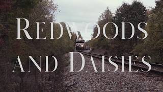 Watch Jason Upton Redwoods And Daisies video