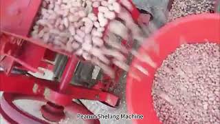 Peanut Shelling Machine In Action Efficient Peeling And Shelling For Peanut Processing