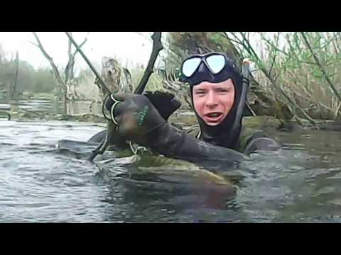 подводное видео осетр подводное видео осетр