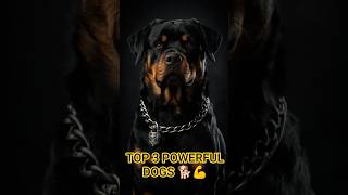 Top 3 Most Powerful Dogs In The World