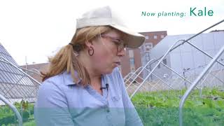 Container Gardening: Herb and Vegetable Gardening in a Small Outdoor Space