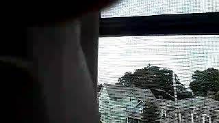 My sisters horror film
