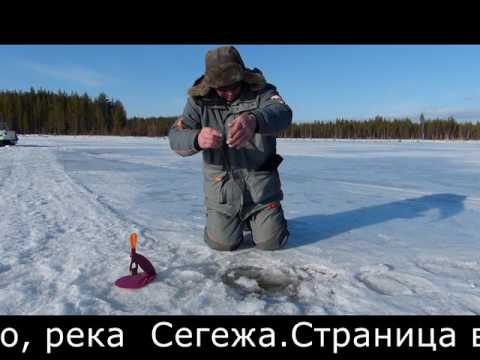 рыбалка м коломасово рыбалка м коломасово