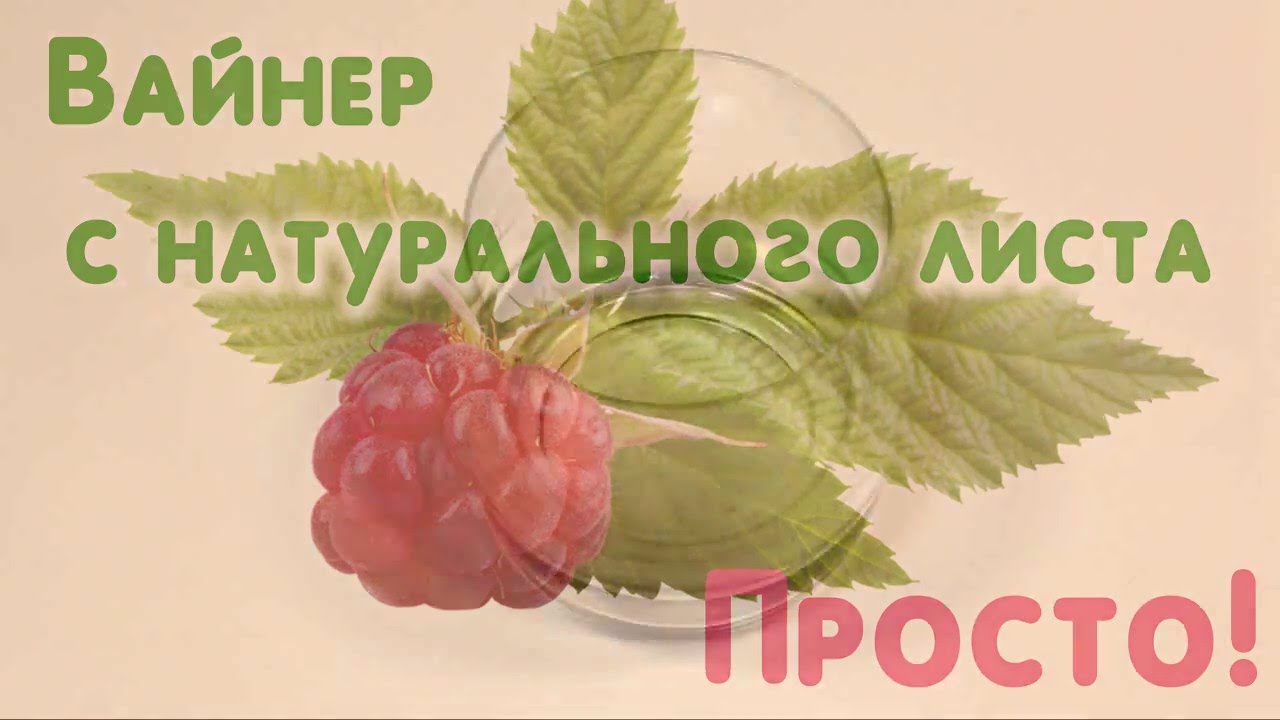 Вайнер своими руками 39