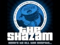 The Shazam - Here's To All The Misfits (2009) 03 - Gonna Miss Yer Train [demo]