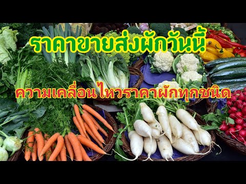 ราคาขายส่งผักวันนี้1กันยายน64:ติดตามความเคลื่อนไหวราคาผักทุกชนิดจากตลาดกลางได้ที่นี่