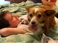 أجمل مقطع سكس كلب ينيك بنت صغيرة