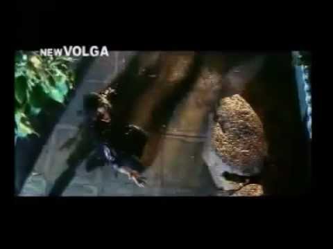 Pilisthe palukutha. Pray Song.mp4