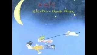 Watch Eels Ps You Rock My World video