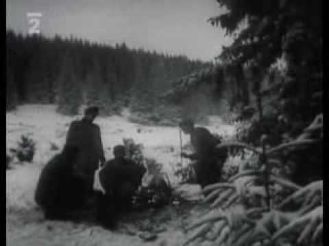 Ťažba dreva na Orave v roku 1960 Ťažba dreva na Orave v roku 1960