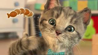 Little Kitten And Friends Adventure - Kitty Crumbs Educational Story - Animals Cartoon For Kids