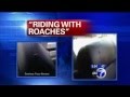 Roaches invade Greyhound bus from Atlantic City to New York City.