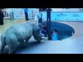 7d At Dubai