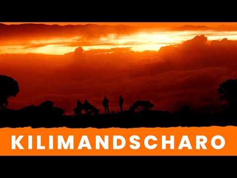 KILIMANDSCHARO STORY | TEASER | Dr. Müller, Hufschmidt Stbg mbH