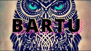 Bartu Intro