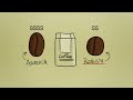 The basics about: Coffee