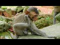 Sad David drop down again cos can't control him self | Sweet grandfather Vanny help care David / MP
