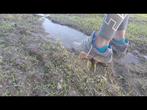 Socks mud