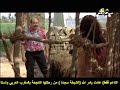 اغتصاب منى شلبي فيلم هي فوضى
