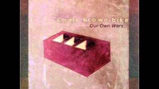 Watch Small Brown Bike In Tune video