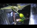 HVAC - Coil Leak and Quick Fix