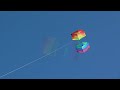 Wavy Rainbow Traditional Box kite