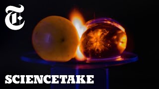 Why Microwaved Grapes Explode! | ScienceTake