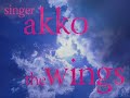 akko - the wings
