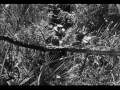 Online Film The Treasure of the Sierra Madre (1948) View
