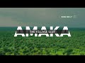 Amaka The Village Slut ( Bangnolly TV ) Short Film
