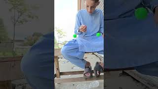 Tak Tak Game New Trick