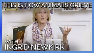 Did You Know THIS is How Animals Grieve?
