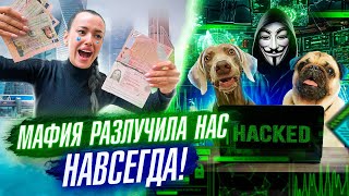 Итальянская Мафия Навсегда Разлучила Леру И Собак😭