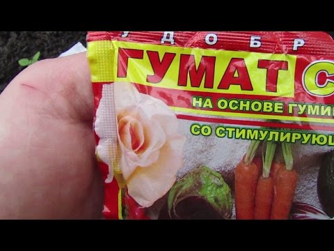 Купить женскую одежду от 200 руб в интернет-магазине Lamoda Криминальный мир, вор, хакер, человек в маске фото