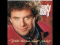 Andy Borg - Liebe Total