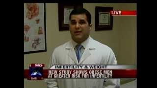 Obesity and Male Infertility