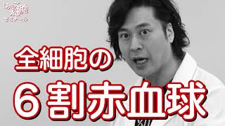 Cells at Work! video 6