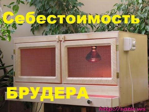 Сделанные клетки для цыплят своими руками 133 Сделанные клетки для цыплят своими руками 48