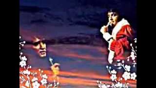 Watch Elvis Presley Seeing Is Believing video