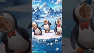 Penguen Dansı