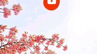 Tik Tok Dhilak, Anak Tomboy