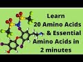The 20 Amino Acids and Essential Amino Acids Mnemonic