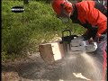 Chainsaw