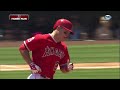 trouts