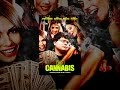 Kid Cannabis Kid Cannabis