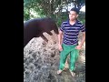 Aprender Fifla Y Karate Parte 1 images Aprender Fifla Y Karate Parte 1