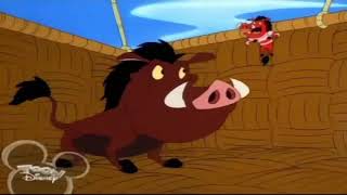 Timon And Pumbaa - Hot Air Buffoons