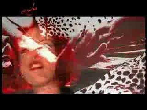 Big Lover Video