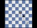 Pawn Endgame (Triangulation)