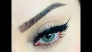 Eyeliner Tutorial for Beginners Gel | Howto | BeautyZM